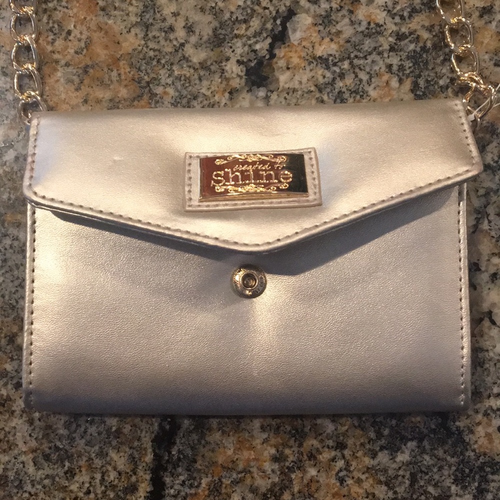 Small Purse/ Clutch